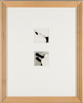 Martina Leo, Diptych from the series "Lustsvit", 1999.