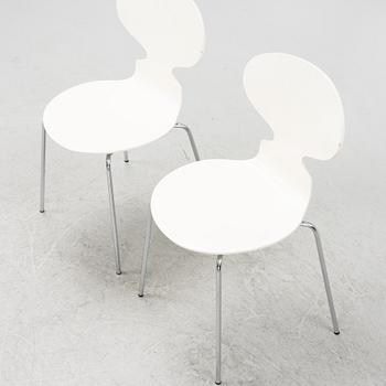 Arne Jacobsen, stolar, 8 st, "Myran", Fritz Hansen, Danmark,
