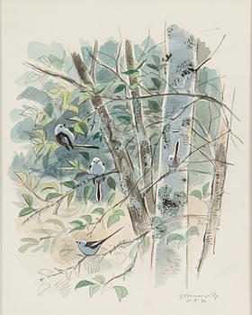 GUNNAR BRUSEWITZ, watercolour and pencil on paper, signed GBrusewitz and dated -71.