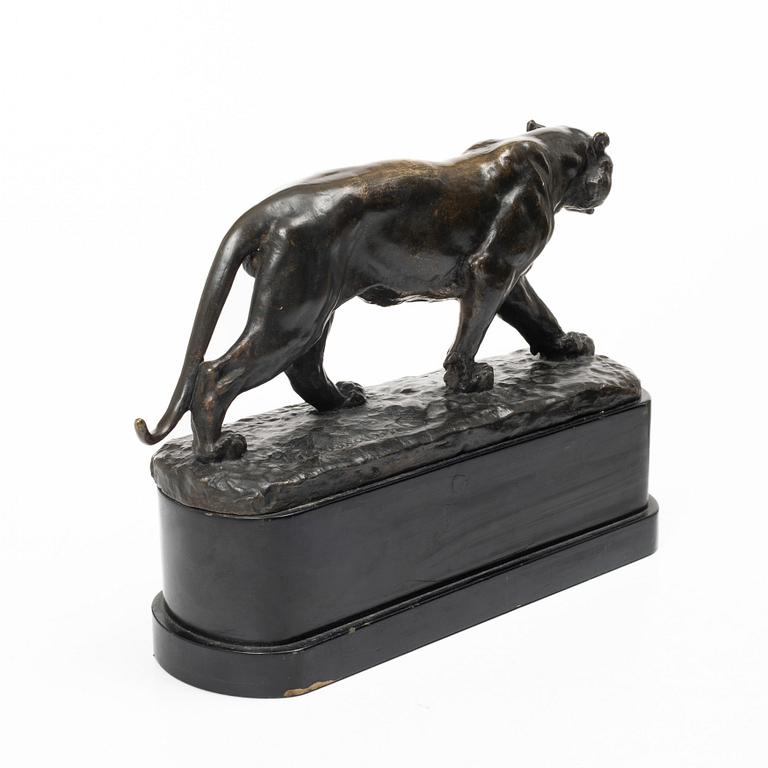 Johan Axel Wetterlund, Tiger.