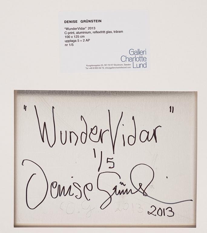 Denise Grünstein, 'WunderVidar', 2013.