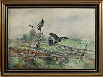 Mosse Stoopendaal, Crows.