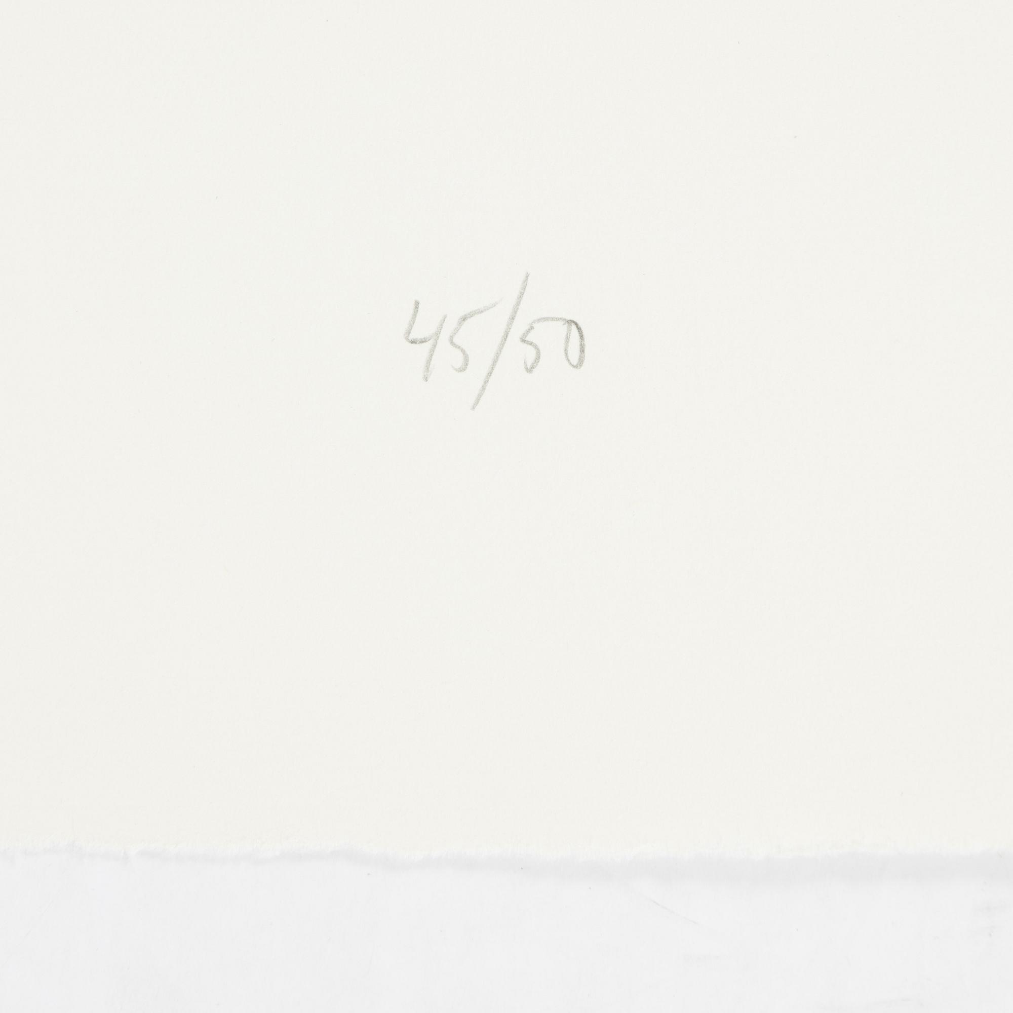 Jan Håfström, etching in colours, 2020, signed 45/50.