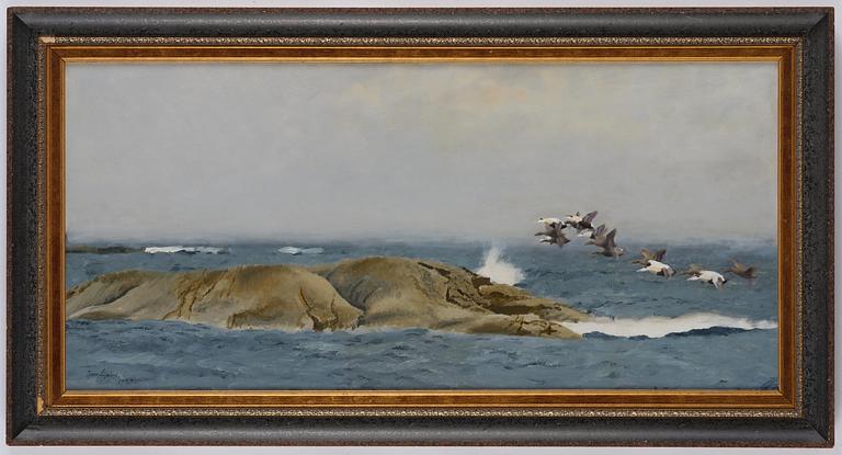 Bruno Liljefors, Stretching eiders.