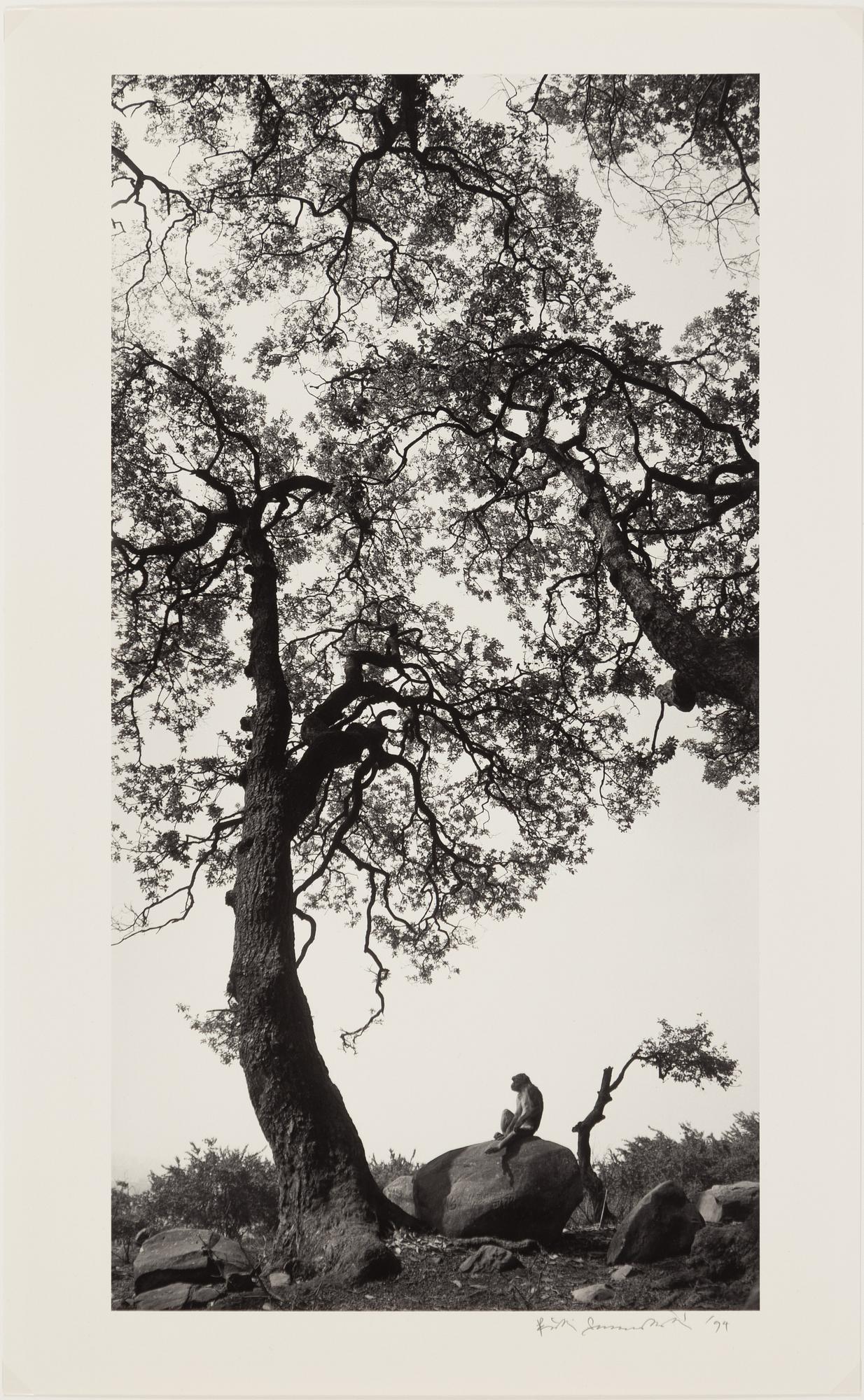 Pentti Sammallahti, "Swayambhunath, Nepal, 1994".