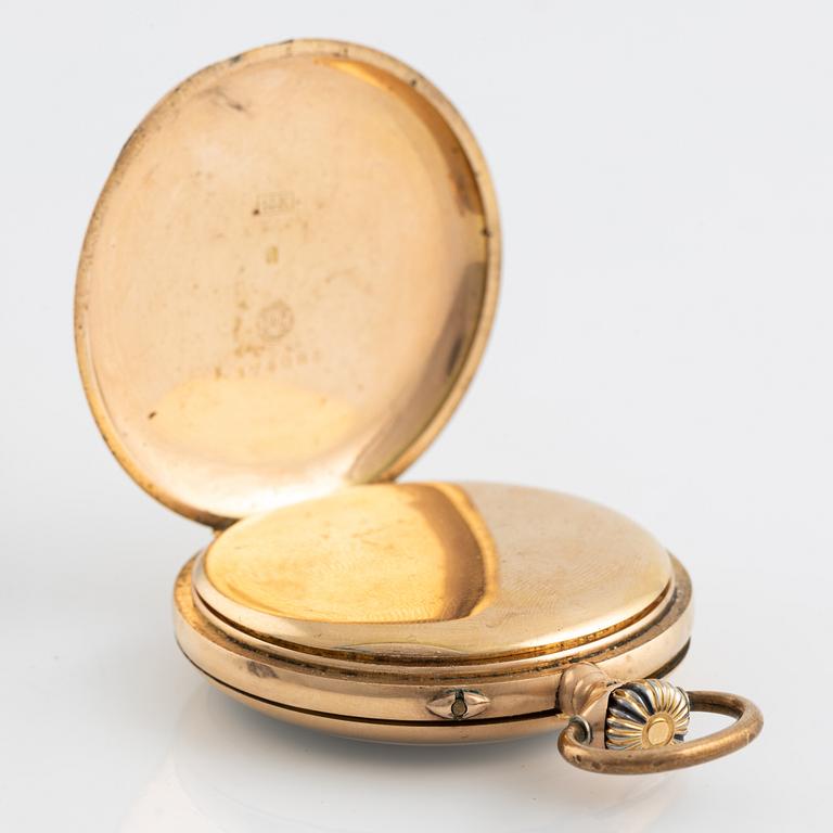 IWC, Schaffhausen, fickur, 50 mm.