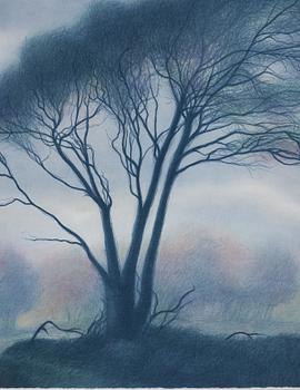 Peter Frie, Landskap.
