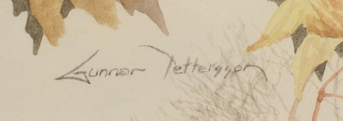 GUNNAR PETTERSSON, akvarell, signerad.