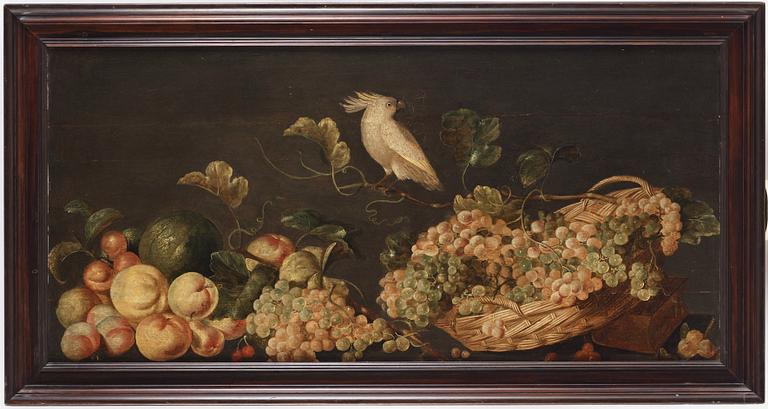 Monogramisten C. DH, Still life with fruits and a white parrot.