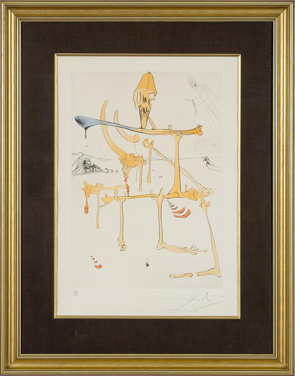 Salvador Dalí, Dalí, drypoint coloured with stencil, 1975, signed 266/300.