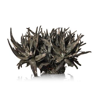 252. Roland Persson, "Aloe Vera".