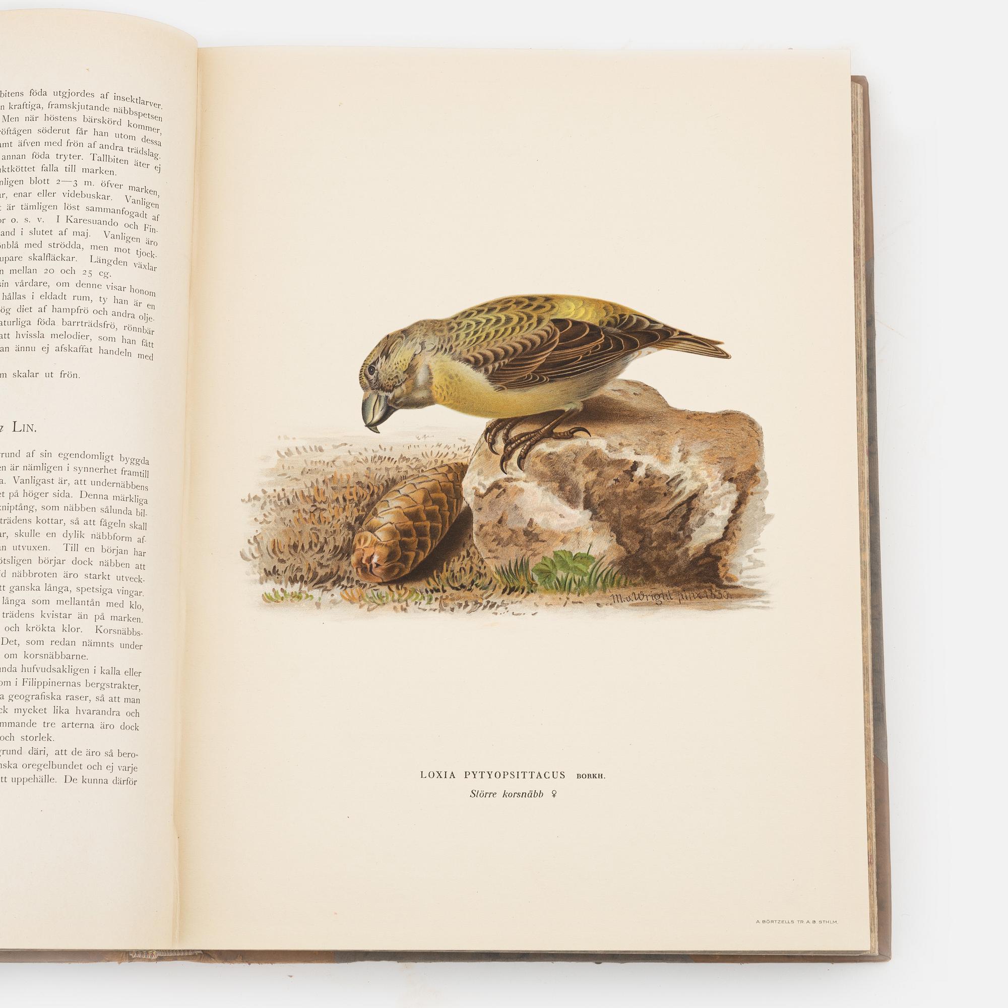 Three volumes of 'Svenska fåglar' by the von Wright brothers, printed at A.Börtsells Tryckeri AB, Stockholm, 1924-29.