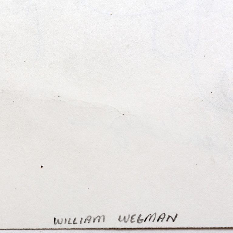 William Wegman, ink drawing signed from 1989.