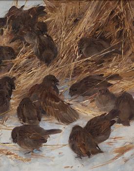 Bruno Liljefors, Sparrows.