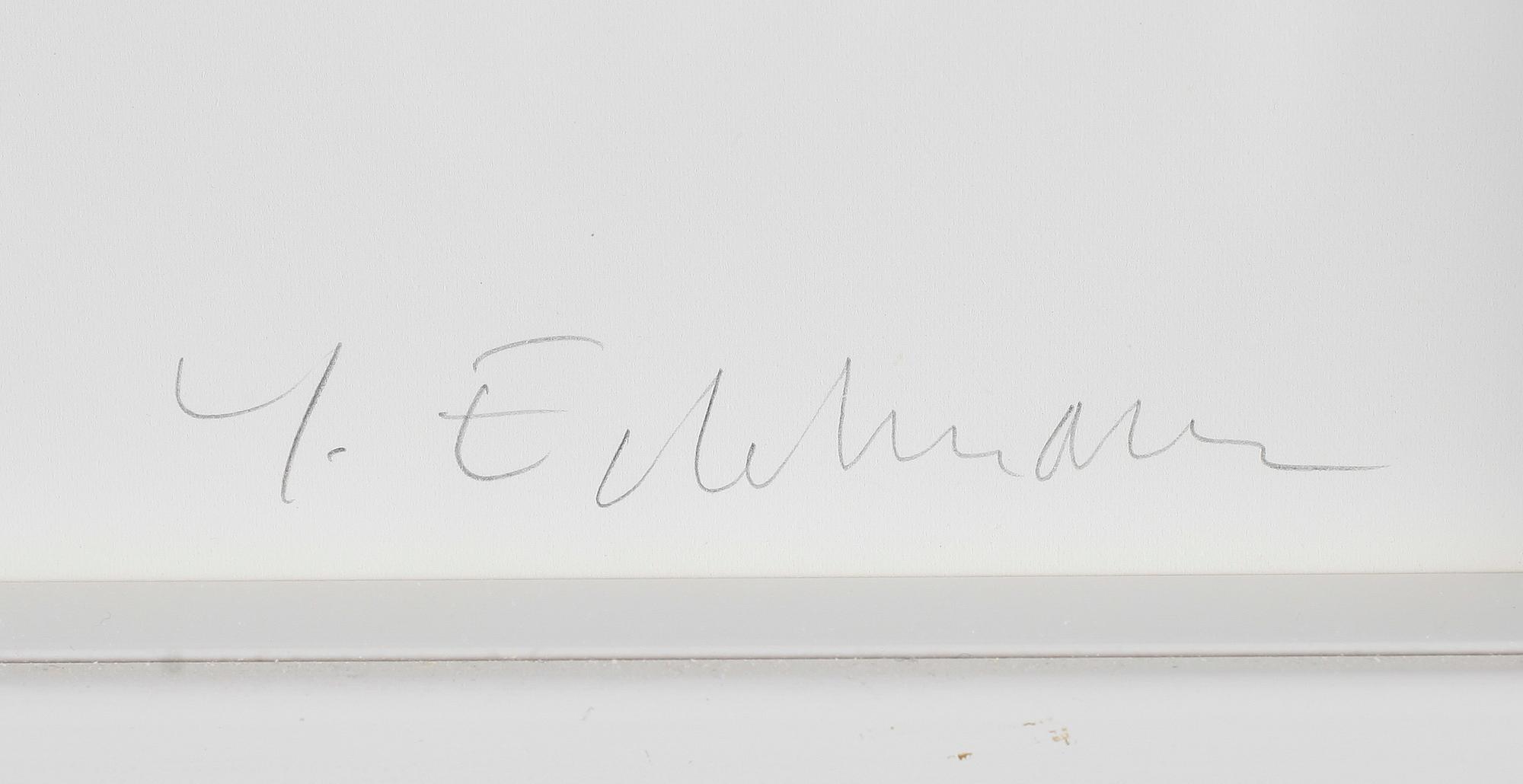 YRJÖ EDELMANN, färglitografi, signerad och numrerad 267/360.