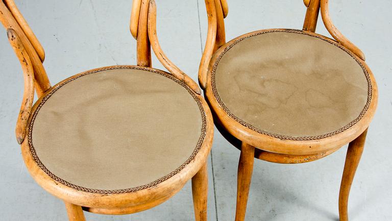 STOLAR, ett par, Thonet, 1900-talets mitt.