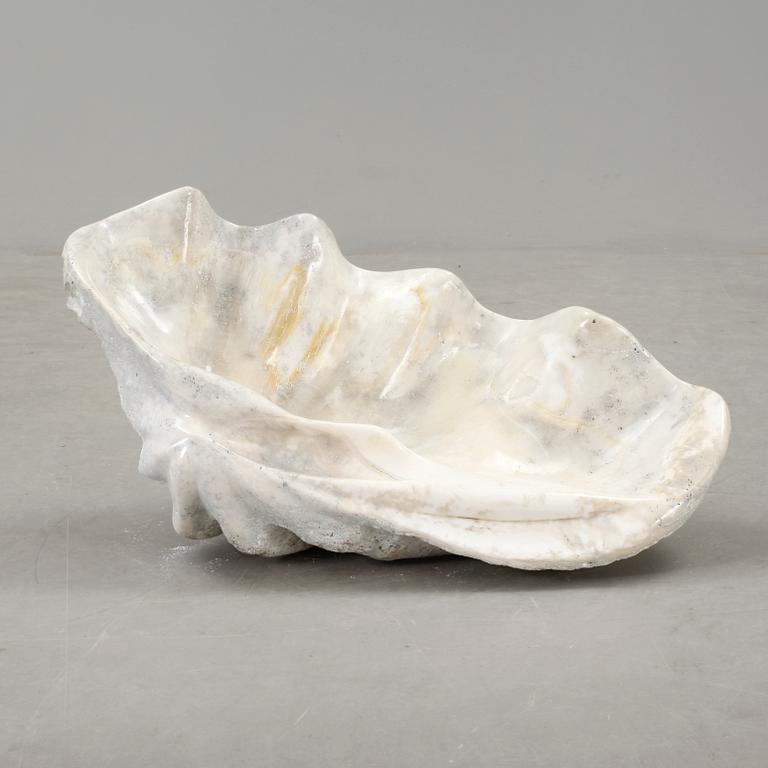 MUSSLA, fossil.