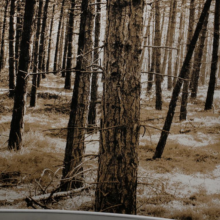 LAMPSKÄRM, "Shady tree", Nicolette Brunklaus, Holland 2002.