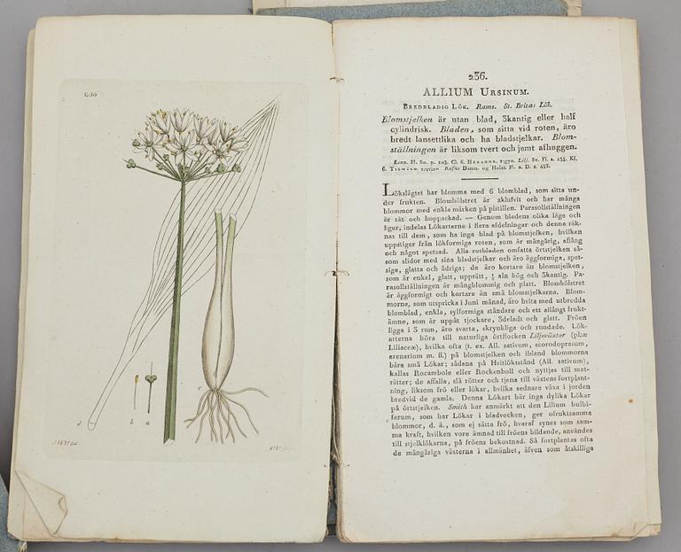 JOHAN WILHELM PALMSTRUCH, "Svensk Botanik, vol I-V. 1803-1805.
