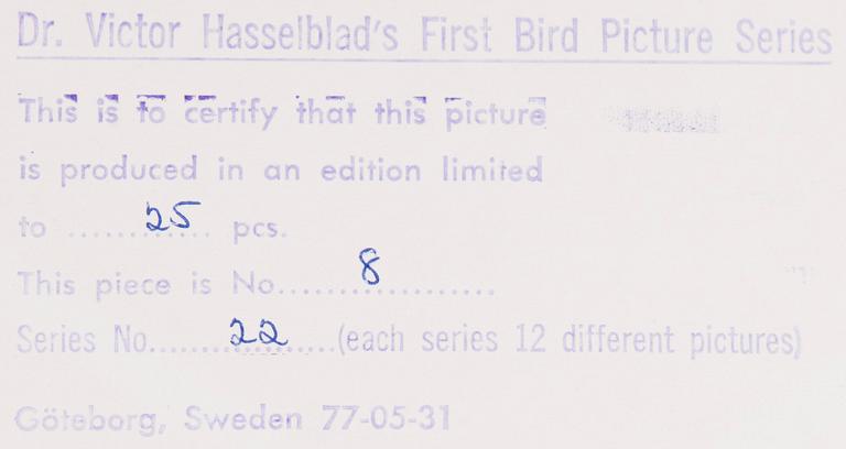 VICTOR HASSELBLAD, fotografier, 12 st, signerade, daterade och numrerade, ur serien nr 22.
