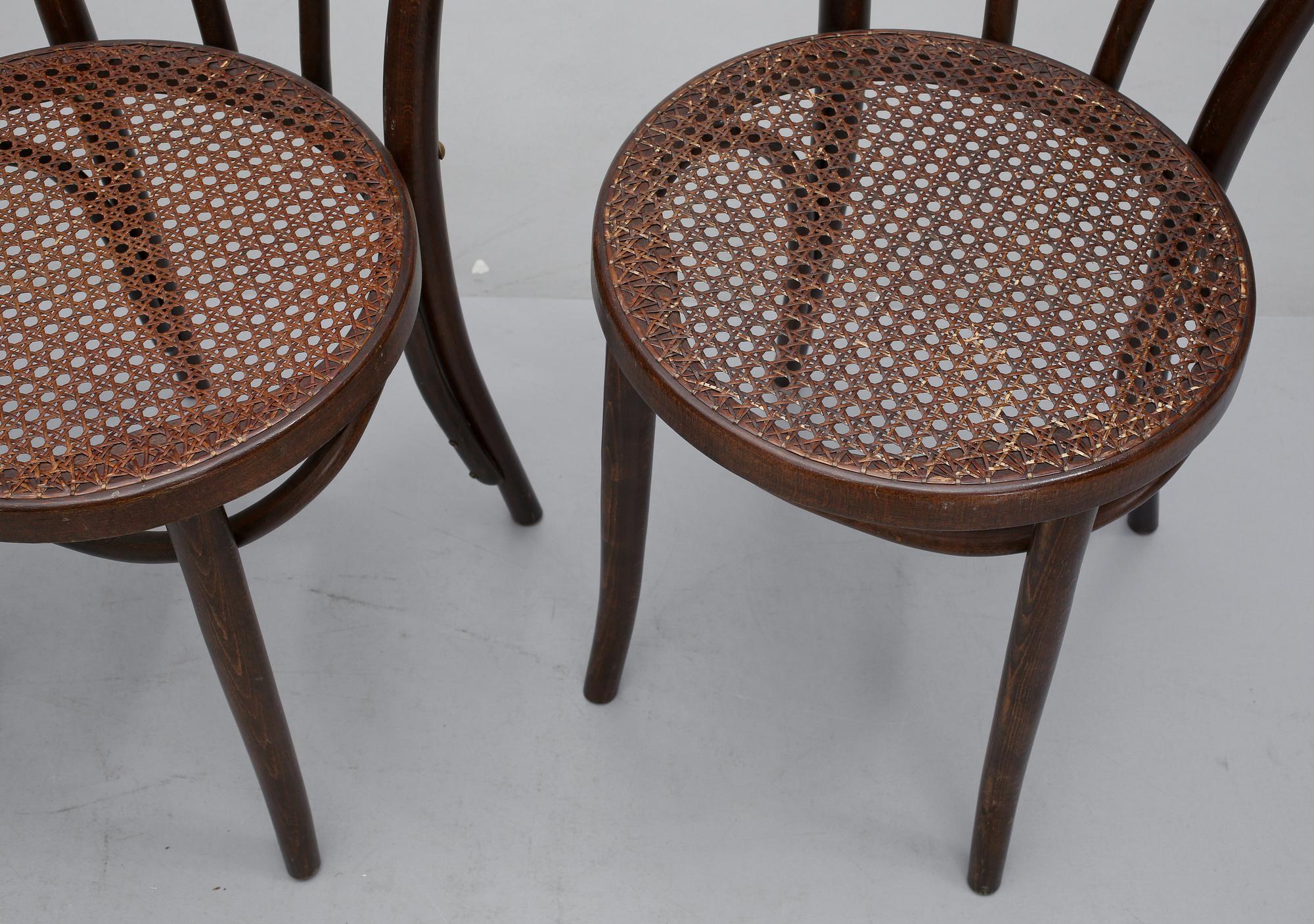 STOLAR, 4 st, Thonetstil, Rumänien, 1900-talets mitt.