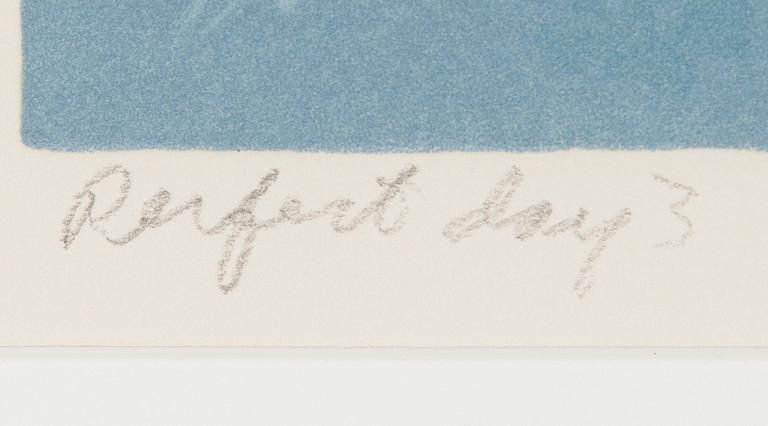 Kristian Krokfors, "Perfect day 3".