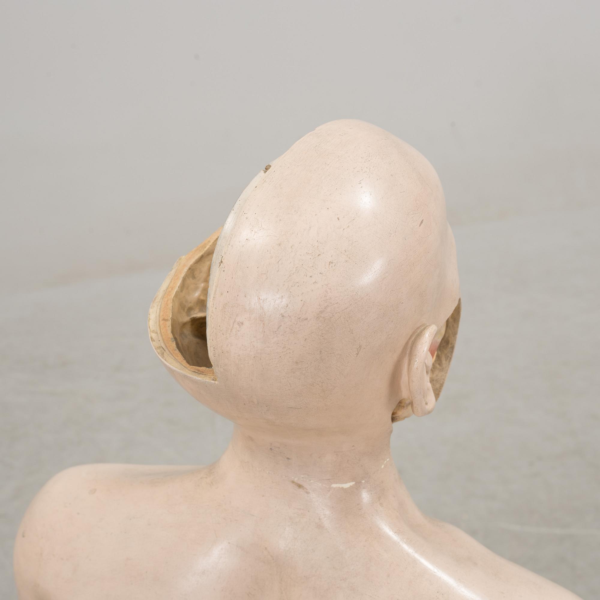 An anatomical model by Franz Jos. Steger, Leipzig, mid 20th century.
