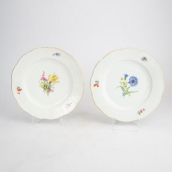 Tallrikar 12 st Meissen 1900-talets första hälft porslin.