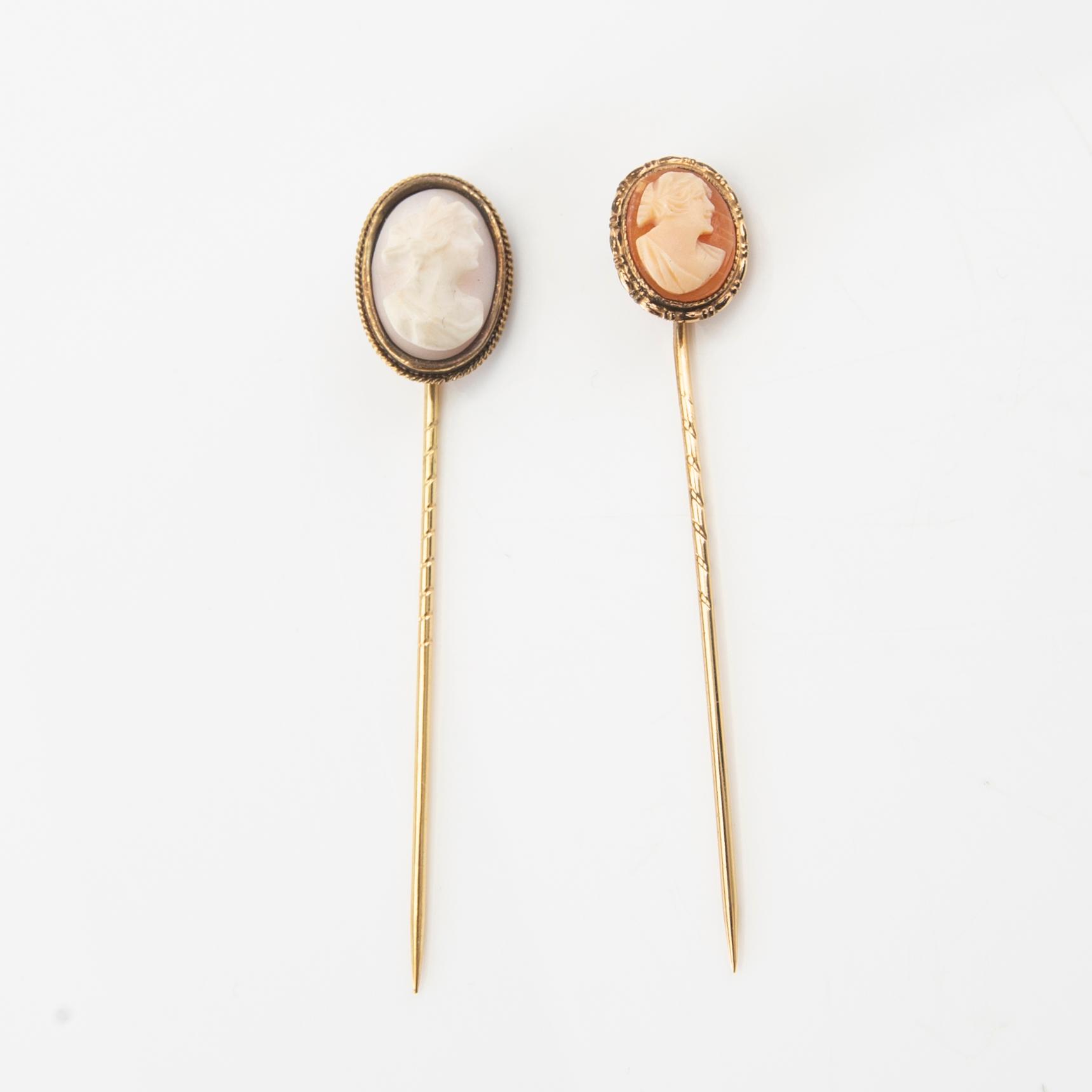 En samling snäckskalskameér.