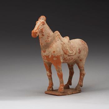 A pottery figure of a horse,  Tang dynasty (618-906).
