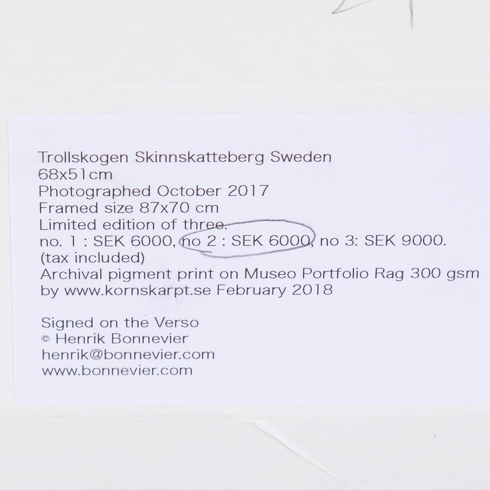 HENRIK BONNEVIER, C-print. Signed and dated 2018. Numbered 2/3.