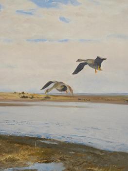 Bruno Liljefors, Landscape with geese.