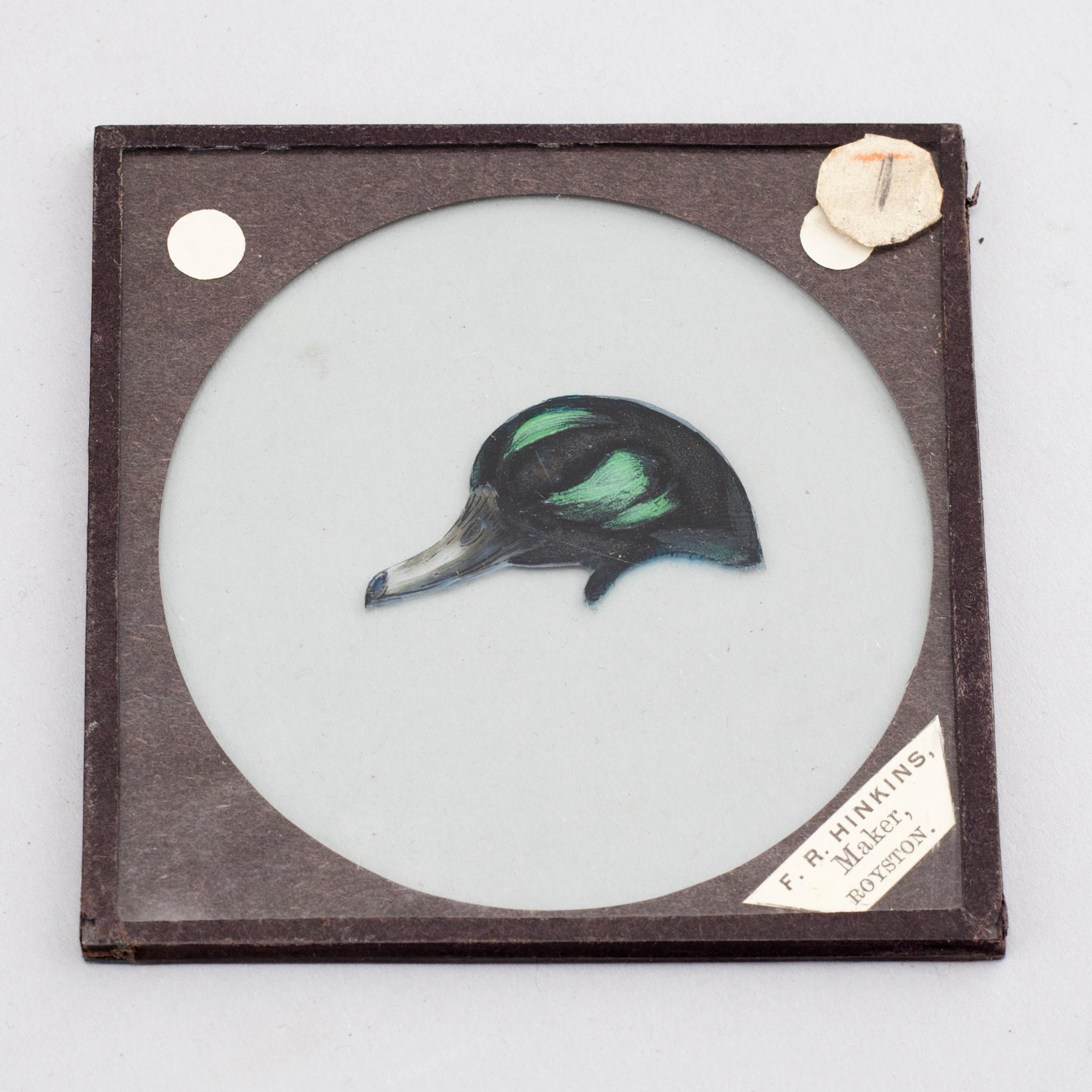 Circa 60 early 20th century lantern glass slides.