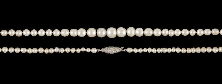 COLLIER, doserade orientaliska pärlor, 7,3-3,4 mm, 1930-tal.