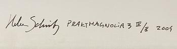 Helene Schmitz, "Praktmagnolia 3", 2004.