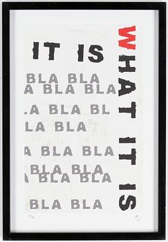 Andreas Lundberg · ANDREAS LUNDBERG, "What is it", pigmentprint, monogramsignerad och numrerad 15/90.