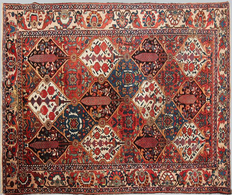 MATTA, semiantik, Bachtiari,  300 x 204 cm.