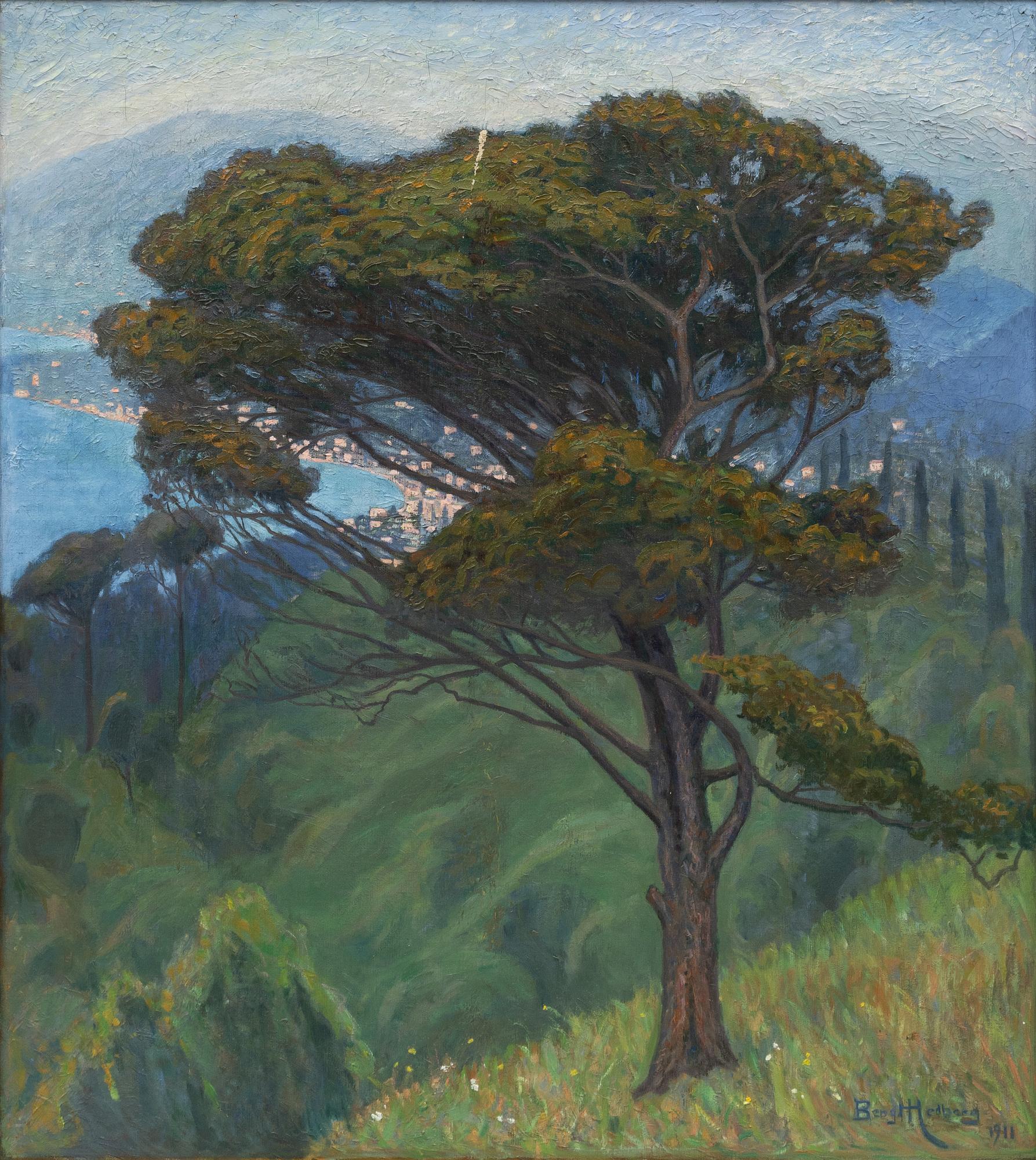 Bengt Hedberg, "Pinie, Montenegro, Italien".