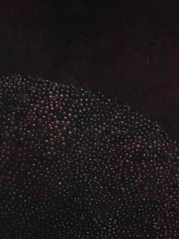 Philip von Schantz, Black currant.