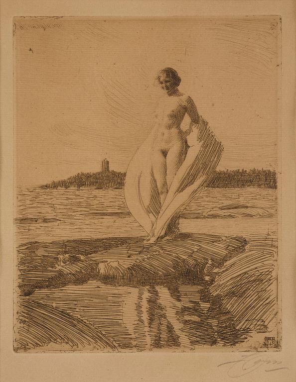 Anders Zorn, "Svanen".