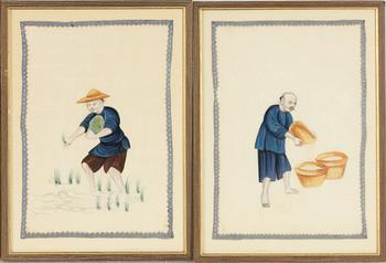 A group of twelve Chinese gouache paintings, late Qing dynasty / around 1900.