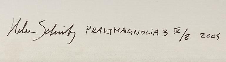 Helene Schmitz, "Praktmagnolia 3", 2004.
