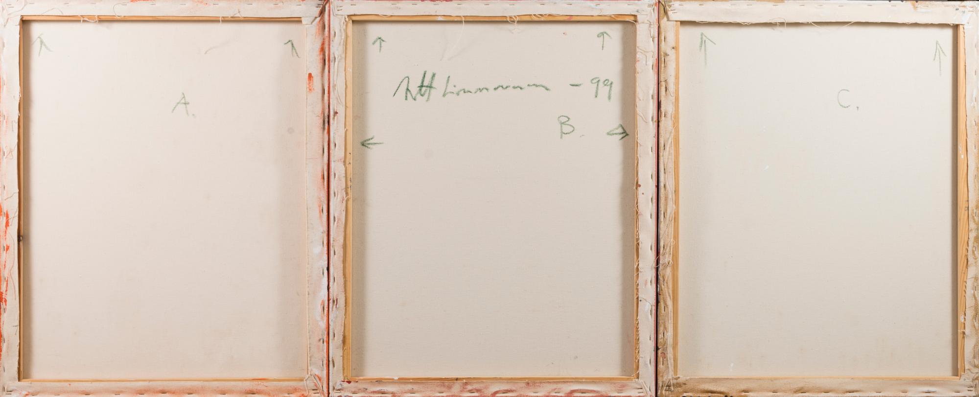 Antti Linnovaara, Untitled.