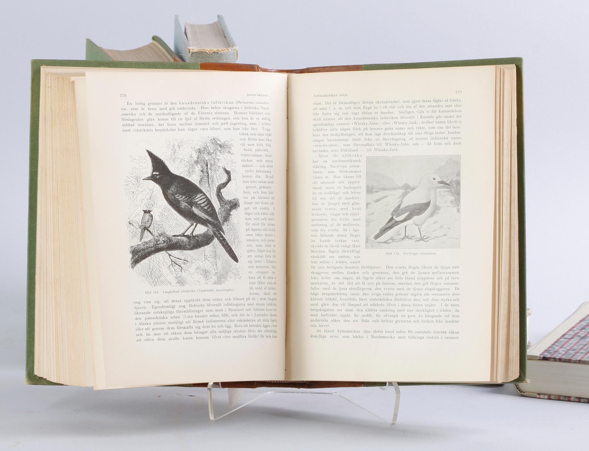 PARTI BÖCKER, 5st, 1900-talets första hälft.