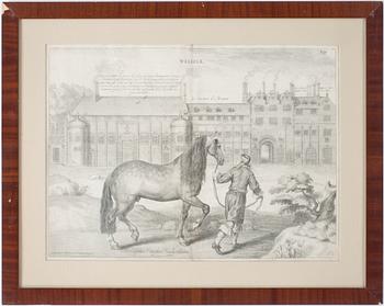 ABRAHAM VAN DIEPENBEECK, gravyrer, 2st, 1600-tal.