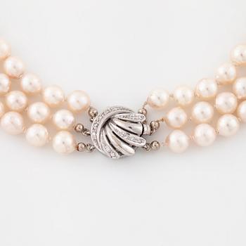 A cultured pearl necklace.