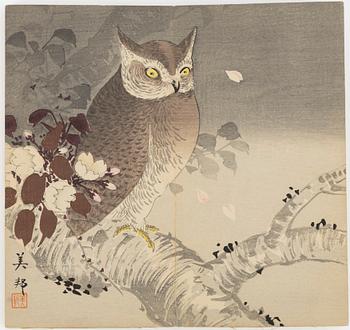 Bihō Takahashi (aktive around 1890-1930), album with 12 woodblock prints, publisher Heikichi Matsuki.
