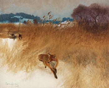 154. Bruno Liljefors, Fox hunt with dogs.