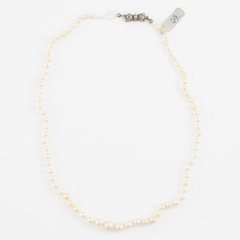 Pärlcollier, tre stycken, odlade pärlor, lås silver, varav ett saknar lås.