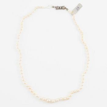 Pearl necklace, three pieces, cultured pearls, clasp silver, one missing clasp.